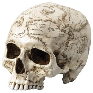 Νεκροκεφαλή - Κρανιογραφία Χάρτης Άγαλμα (Ηλεκτρόλυση μπρούτζου Veronese Λευκό18,5cm x 13,5cm)